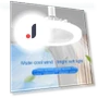 Smart Silent LED Ceiling Fan with Remote Control — Ceiling Fan Lighting Solutions, Binchi Lighting Appliances