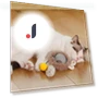 Interactive Cat Toy Ball — Cat Playthings, Kitty Cat House