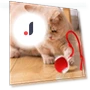 Interactive Pet Toy — Cat Playthings, Luminaire Lighting Mall