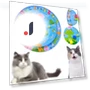 Interactive Water Sensor Play Mat for Cats — Cat Playthings, Home Furnishing Department Mall