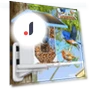 Smart Bird Feeder with Camera — Backyard Birding, Pet Supermarket