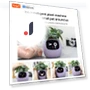 Smart Pot Ivy — Plants & Greenery, Cozy Cottage-Relax