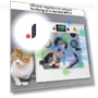 Portable Smart Hair Dryer for Pets — Dryers & Accessories, Rainbow Rain