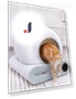 Self-Cleaning Automatic Cat Litter Box — Waste Bins, Rainbow Rain