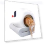 Self-Cleaning Smart Cat Litter Box — Waste Bins, Rainbow Rain