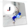 Squeaky Bird Cat Toy — Cat Playthings, Love DIY