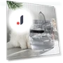 Automatic Circulating Water Dispenser for Cats — Pet Hydration Solutions, Pet family bucket