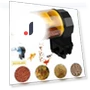 Automatic Fish Feeder — Feeders, Wotoo