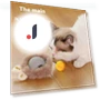 Automatic Rotating Cat Toy with USB Rechargeable Function — Cat Playthings, Sunnyway