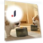 Automatic Water Dispenser for Pets — Feeding Supplies, Pet family bucket