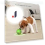 Interactive Dog Toy Ball — Balls, Talos home Garden