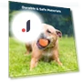 Interactive Pet Ball — Automatic Launchers, All in Watch
