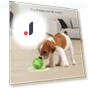 Interactive Smart Ball for Dogs — Balls, All in Watch
