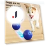 LED Rolling Ball for Pets — Cat Playthings, Outdeer