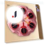Musical Boxing Target with Light Effect — Boxing Training Gear, Sports Accessory