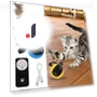 Smart Ball for Cats — Cat Playthings, Home Furnishing Department Mall