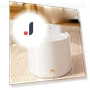 Smart Ceramic Water Dispenser for Pets — Fountains, Pet family bucket