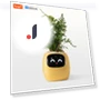Smart Seedling Pot — Nursery Pots, Build My Home