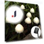 Solar Mushroom String Lights — Outdoor String Lights, Luminaire Lighting Mall