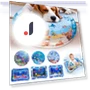 Thickened Touch Water Play Mat — Cat Playthings, Home Furnishing Department Mall