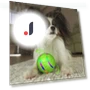Interactive Dog Toy Ball — Balls, Yousheng Electronic Products
