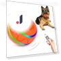 Interactive Smart Ball for Pets — Balls, Build My Home