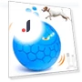 Interactive Smart Ball Toy for Pets — Automatic Launchers, Simplistic Living Home