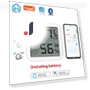 Mini Bluetooth Temperature and Humidity Sensor with LCD Screen — Home Climate Control, HIMO Group