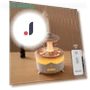 Rotating Rain Humidifier with Color LED Night Light — Air Moisturizers, Lntelligent Living Hall