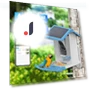 Smart Bird Feeder with Camera — Outdoor & Wildlife Cameras, Build My Home