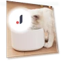 Smart Wireless Pet Water Fountain — Fountains, Pets Land