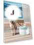 Automatic Pet Drinking Fountain — Fountains, GYROBALL