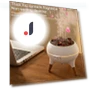 Essential Oil Diffuser with LED Light — Diffusers, Blissful Living