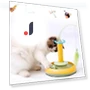 Interactive Cat Toy — Cat Playthings, Seahorse Home