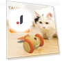 Interactive Cat Toys — Cat Playthings, Talos home Garden