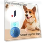 Interactive Pet Toy Ball — Cat Playthings, GYROBALL