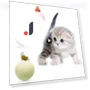 Interactive Smart Ball for Cats — Cat Playthings, Simplistic Living Home
