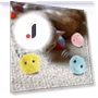 Smart Cat Toys Set — Cat Playthings, GYROBALL