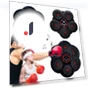 Smart Music Boxing Trainer — Boxing Training Gear, GYROBALL
