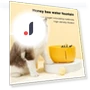 Automatic Filter Cat Water Fountain — Pet Hydration Solutions, Plus-size underwear Home
