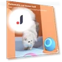 Automatic Moving, Jumping, Rolling Cat Toys with LED Lights — Cat Playthings, Rainbow Rain