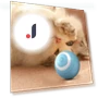 Automatic Rolling Cat Toy — Cat Playthings, Home Furnishing Department Mall