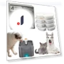 Automatic Water Dispenser with LED Light — Feeders, Home Furnishing Department Mall