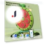 Fruit Boxing Machine with Gloves — Home Gyms, Car Maintenance