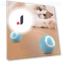 Interactive Cat Ball — Balls, DC-Home-2