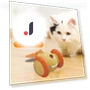 Interactive Cat Toy — Cat Playthings, All in Watch