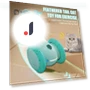 Interactive Cat Toy — Cat Playthings, Kitty Cat House
