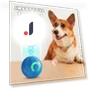 LED Light-Up Rolling Pet Toy Ball — Cat Playthings, yaohengshang
