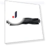 Replacement Roller Brush — Accessories, Neoglint