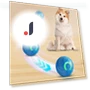 Rolling Ball for Pets with LED Lighting — Balls, Outdeer